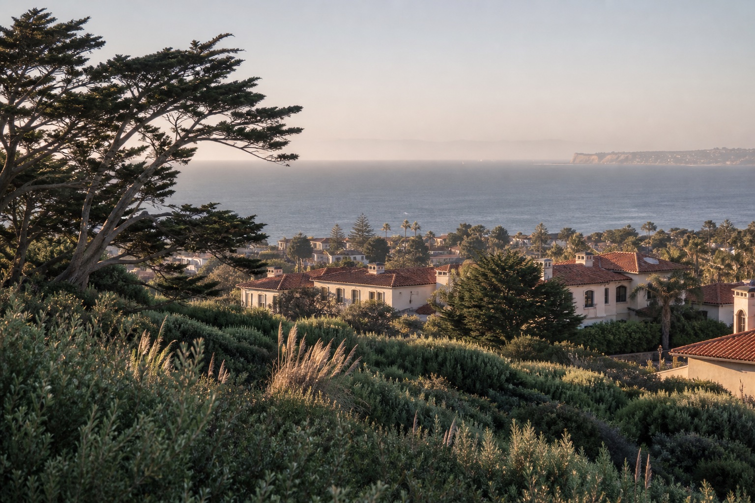 Coastal San Pedro neighborhood overlooking the Pacific